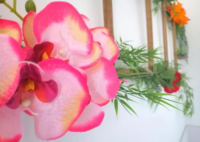 דירה Le 1965 Double Balneo, Confort Et Romantique