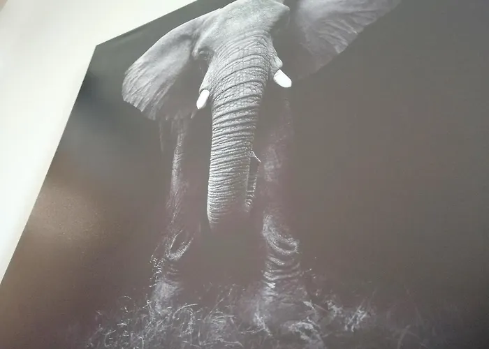 Le 1965 Double Balneo, Confort Et Romantique * גרנובל