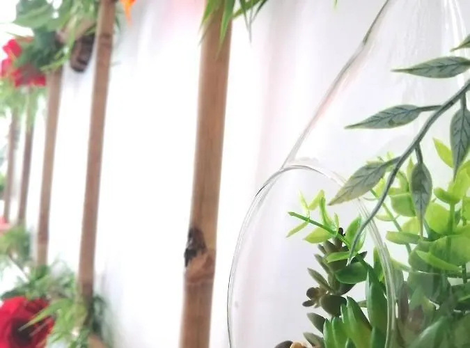 Le 1965 Double Balneo, Confort Et Romantique