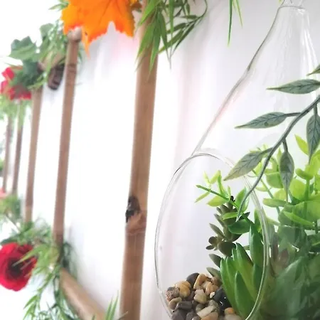 Le 1965 Double Balneo, Confort Et Romantique